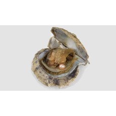 Akoya (+$21.60)